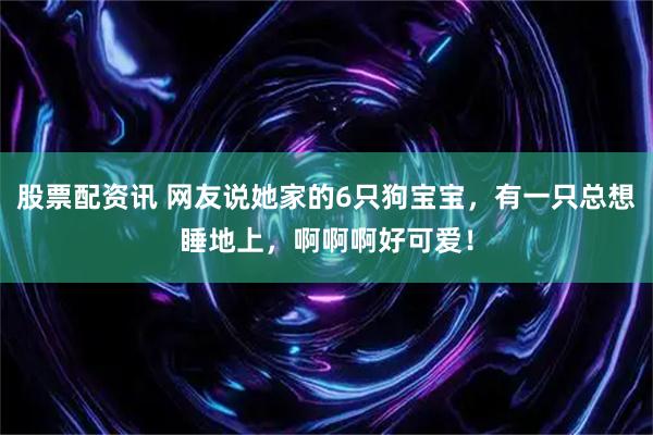 股票配资讯 网友说她家的6只狗宝宝，有一只总想睡地上，啊啊啊好可爱！